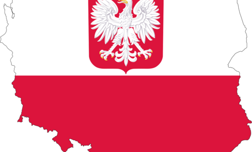 Zdjęcie do Uroczysty apel z okazji Narodowego Święta Niepodległości