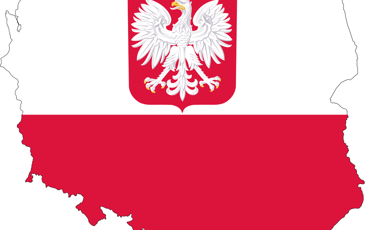 Zdjęcie do Uroczysty apel z okazji Narodowego Święta Niepodległości