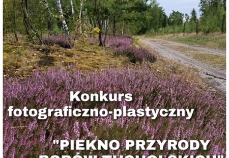 Zdjęcie do Rozstrzygnięcie konkursu Piękno Przyrody Bor&oacute;w Tucholskich