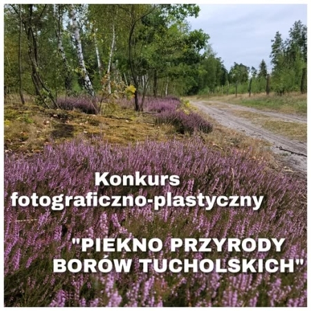 Zdjęcie do Rozstrzygnięcie konkursu Piękno Przyrody Bor&oacute;w Tucholskich